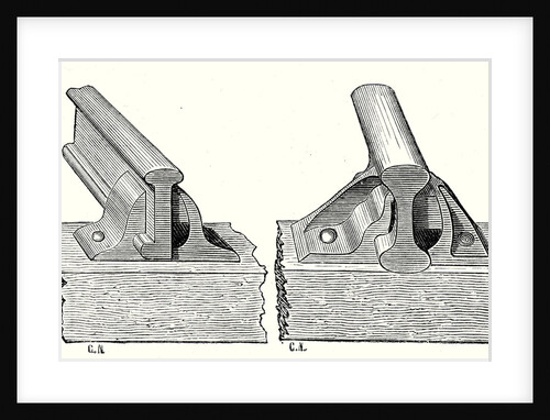 Single Flanged T Parallel Rail and Double Flanged T Parallel Rail by Anonymous