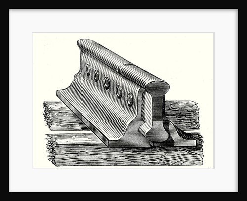 Fishplate by Anonymous