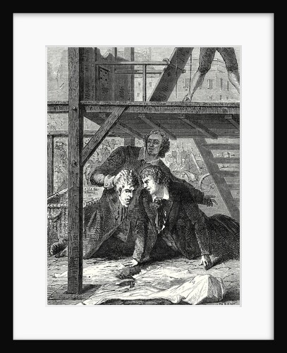 Experiments of the Physicians' Association of Mainz 21 November 1803 by Anonymous