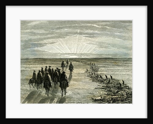 Pampa 1869 Peru by Anonymous