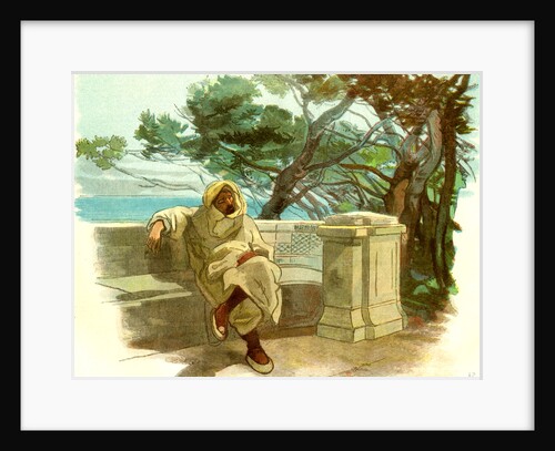 View in the Jardin Marengo Algiers 1885 by Anonymous