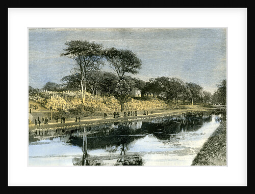 Aberdeen the Duthie Park 1885 UK by Anonymous