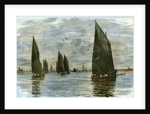 Aberdeen the Herring Fleet 1885 UK by Anonymous