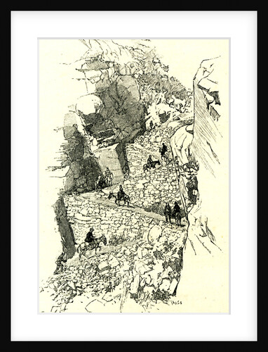 A Yosemite Trail 1891 USA by Anonymous