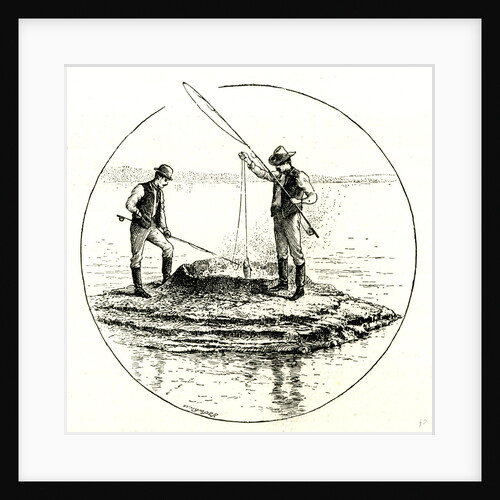 The Hot Cone in the Yellowstone Lake 1891 USA by Anonymous