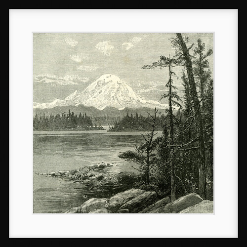 Mount Tacoma 1891 USA by Anonymous