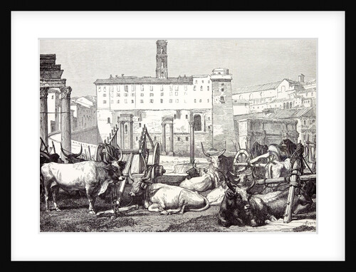 Rome Italy 1875 The Roman Forum by Anonymous