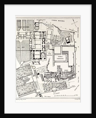 Rome Italy 1875 Plan of the Excavations on the Palatine by Anonymous