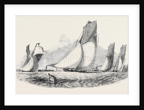 The Royal Thames Yacht Club Match; Mystery, Antagonist, Belvidere, Vixen, Prima Donna by Anonymous