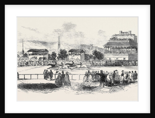 Shrewsbury Races, Great Britain by Anonymous