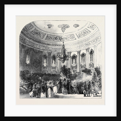 Exhibition of the Royal Horticultural Society, at the Rotunda, Dublin by Anonymous