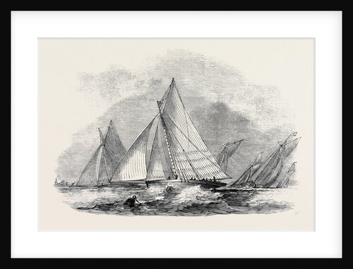 Royal Thames Yacht Club, Match for the Belvidere Cup; Belvidere, Blue Belle, Ino, Champion, Mystery, Antagonist by Anonymous