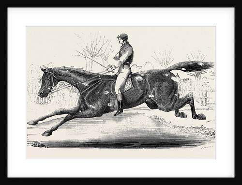 The Harrow Steeple Chase, the Last Brook by Anonymous