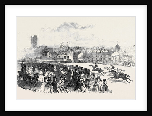 Warwick Races. by Anonymous