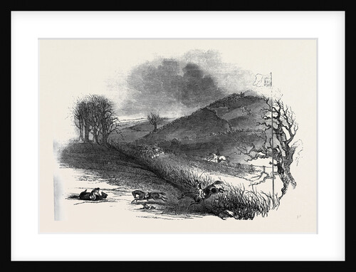 The Northampton Steeple Chase. by Anonymous