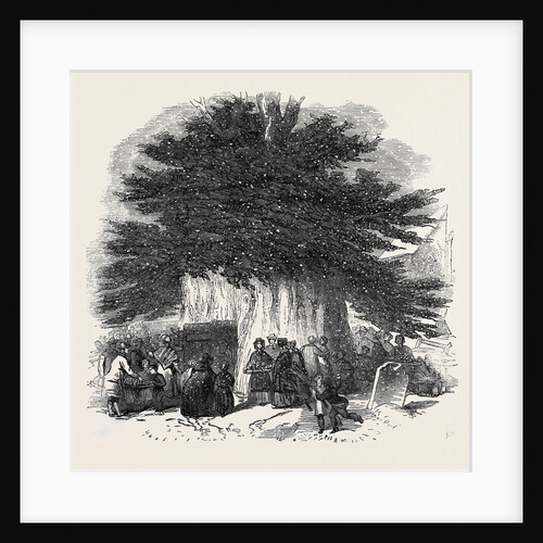 Palm Sunday, at Crowhurst by Anonymous