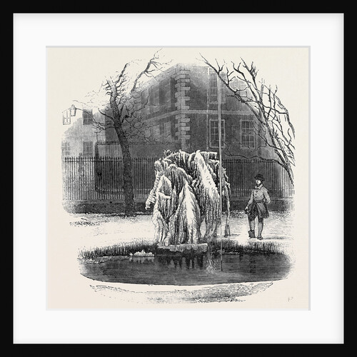 Ice Tree, Middle Temple. by Anonymous
