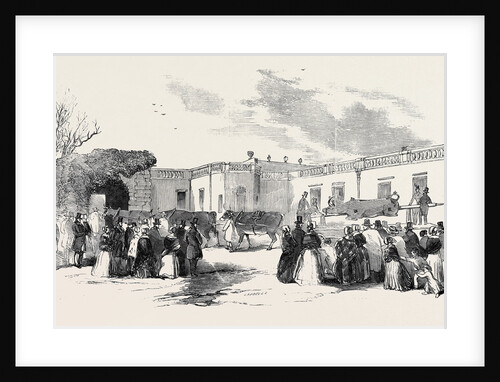 Procession of the Ox by Anonymous