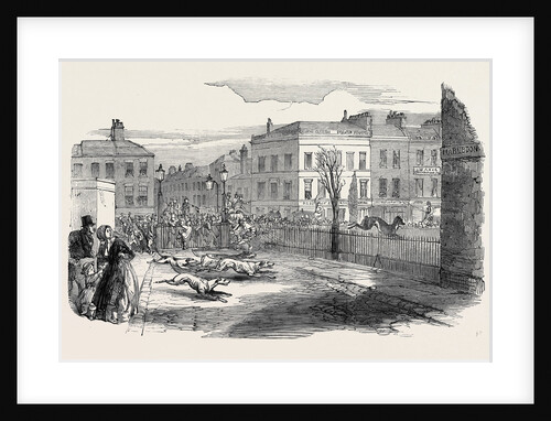Stag Hunt in the New Road on Tuesday by Anonymous