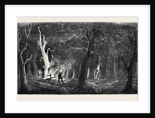 Panorama of the Ohio, Clearing a Forest by Anonymous