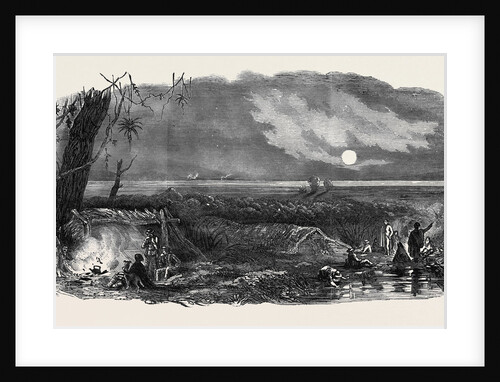 Panorama of New Zealand, Bivouac of Surveyors by Anonymous