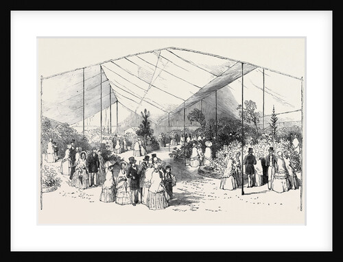 Exhibition of American Plants at the Royal Botanic Society's Gardens, Regent's Park by Anonymous
