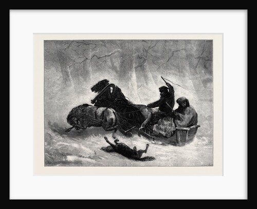 Traineau Russe 1873 by Anonymous
