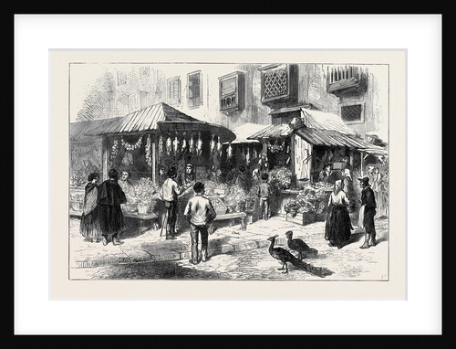 Spain: Old Market-Place of San Miguel 1873 by Anonymous