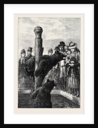 Receiving Visitors on Easter Monday at the Zoological Society's Gardens London 1873 by Anonymous