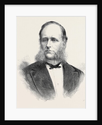 Baron Schwarz-Senborn General Manager of the Vienna Universal Exhibition 1873 by Anonymous