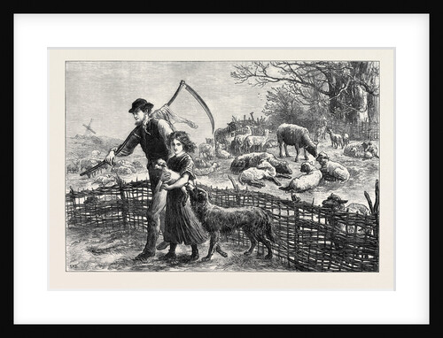 The Foster Lamb 1873 by Anonymous
