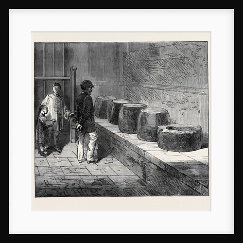 China: Stones Inscribed with Poetry in the Temple at Pekin 1873 by Anonymous