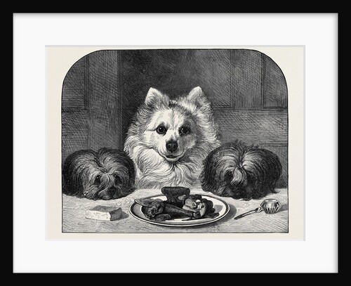 Great Expectations by Anonymous