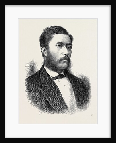 The New King of the Sandwich Islands 1873 by Anonymous