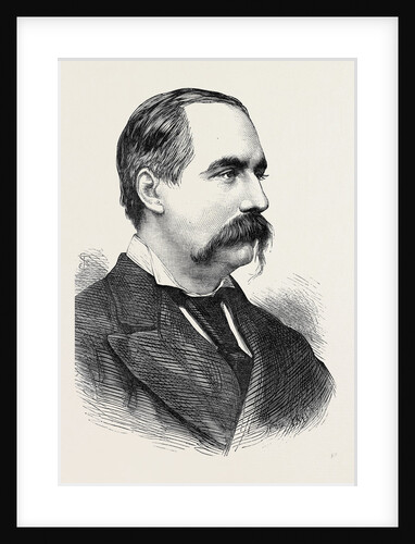 Sir W. Palliser 1873 by Anonymous