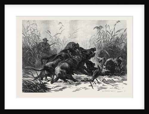 A Boar Hunt by Anonymous