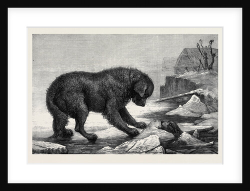 Erebus and Terror by Anonymous