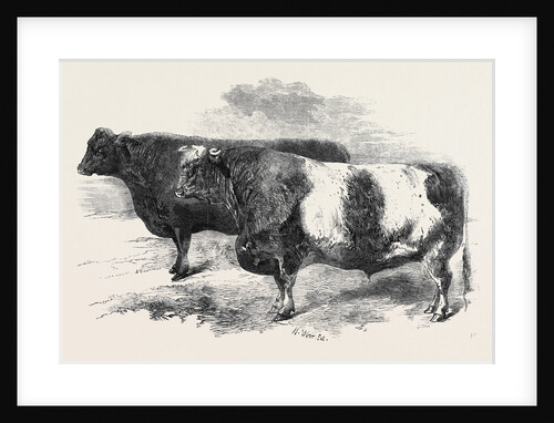 Meeting of the Royal Agricultural Society at Salisbury: No. 251 by Anonymous