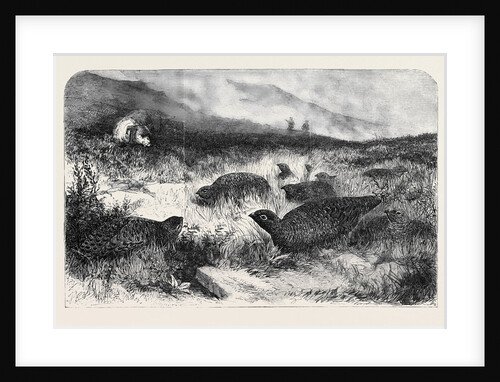 Grouse Shooting by Anonymous