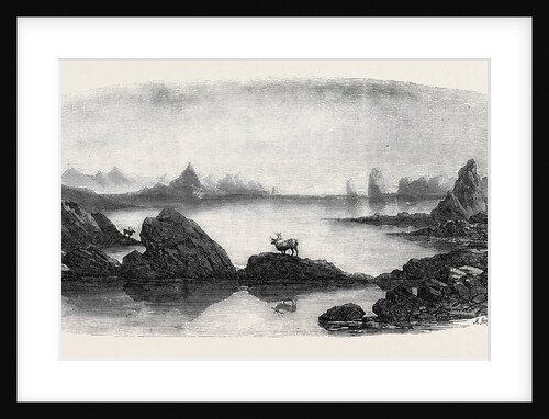 Coast Scene Near Trondhjem Lapland by Anonymous