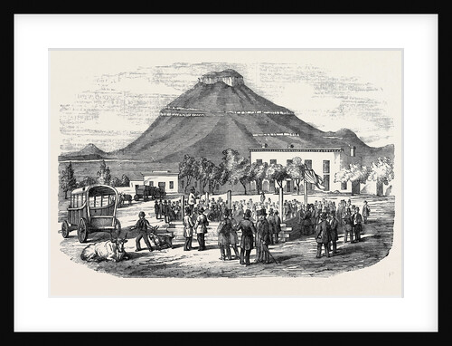 Sale of Angora Rams at Graaff Renet. by Anonymous