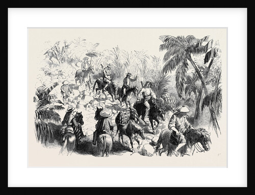 A Macadamised Road in Manilla by Anonymous