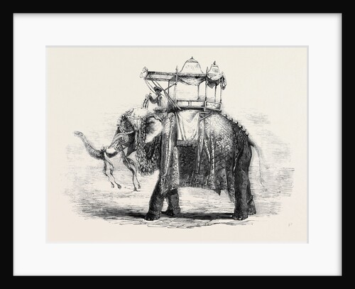 Elephant with State Howdah at Baroda by Anonymous