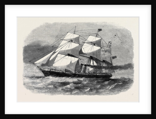 The Screw Steamship Australasian by Anonymous