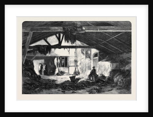 A Rag Warehouse in Paris by Anonymous