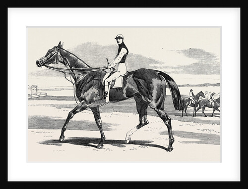 Odd Trick the Winner of the Cambridgeshire Stakes at Newmarket 1857 by Anonymous