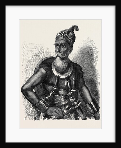 The Akali of the Sikhs by Anonymous