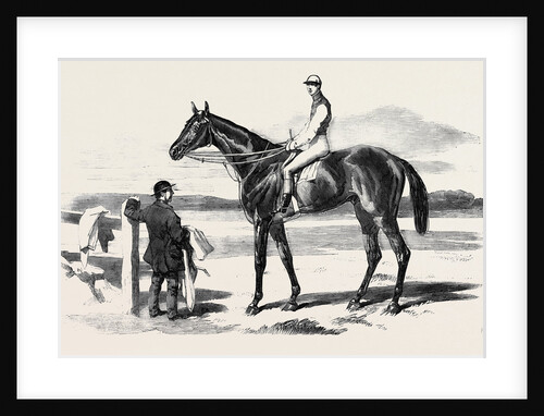 The Celebrated Race Horse Fisherman by Anonymous