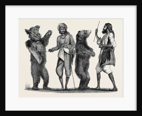 Dancing Bears in India from a Drawing by W. Carpenter by Anonymous