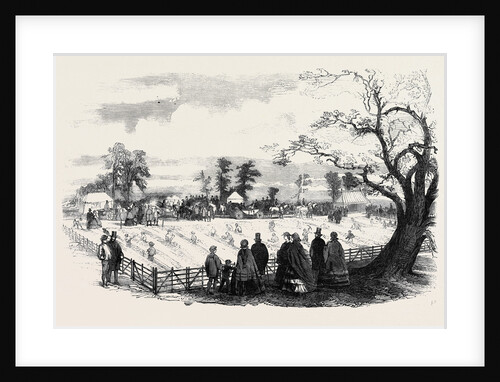 Agricultural Draining Match on the Duke of Sutherland's Estate at Trentham Staffordshire. by Anonymous
